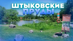 VLOG: прогулка по Штыковским прудам во Владивостоке