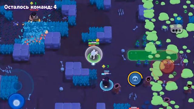 первое видео кибер спорт по бравлу смотреть онлайн