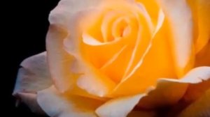 Осенний вечер.