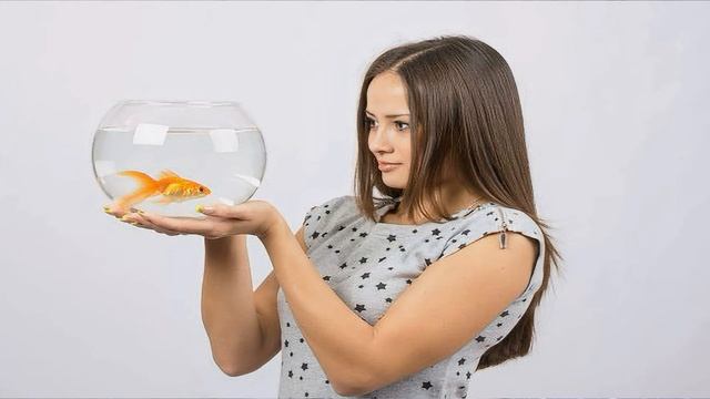 какой сегодня праздник? \ 28 июля \ праздник каждый день \ праздник к нам приходит \ есть повод смотреть онлайн