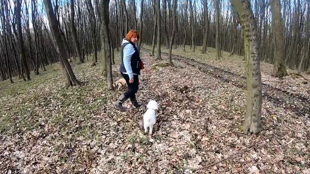 Грибная лихорадка! Как мы собирали весенний урожай!