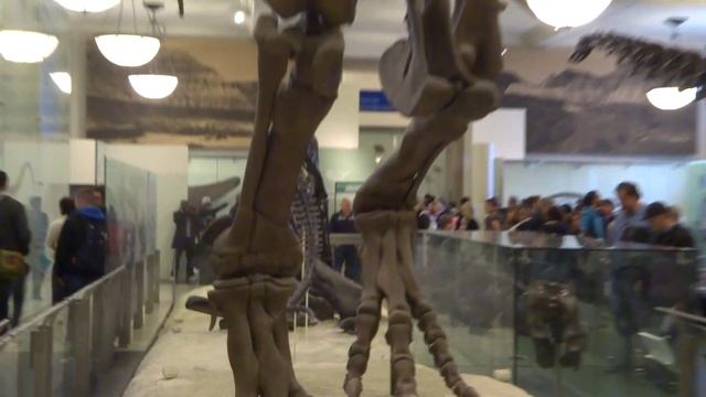 Musée Histoire Naturelle New York - American Museum of Natural History - Dinosaures смотреть онлайн