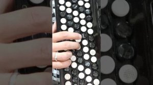 МЭНГЕЛЕК ЯРЫМ СИН - разбор на баяне. Из репертуара Рамиля Хазимуратова. КАРИМ МУРАТОВ