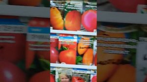 томаты фирмы Сибирский сад