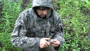 ПЯТЬ ВИДОВ ГРИБОВ ИЗ ЛЕСА НА ТАРЕЛКУ