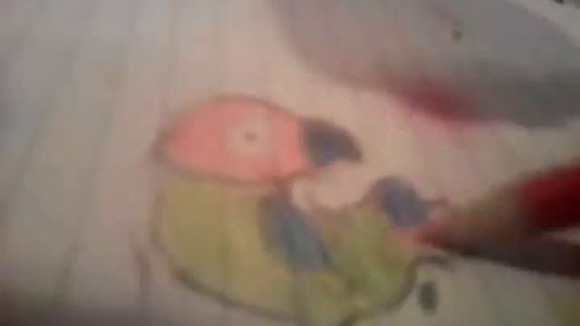 Попугай смотреть онлайн