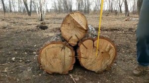 Эндуро стадион - реальные размеры препятствий