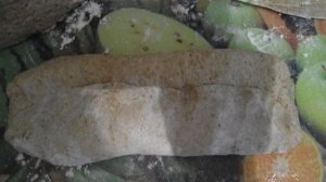 Ржаные багеты на закваске