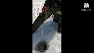 Оригинальное видео поздравление подруге на юбилей 50 лет