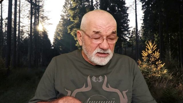 Воспитание щенка лайки для охоты Западно-сибирская лайка.mp4