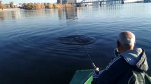 Как поймать Жереха осенью!? Снасть на Жереха и Окуня.