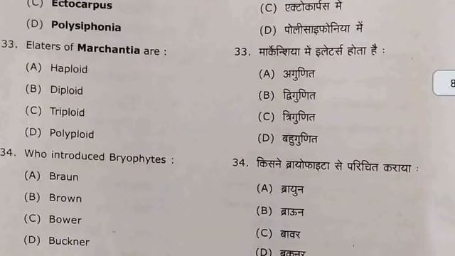 Botany Paper 2nd Algae, Lichen& Bryophyta BSC 1st yr 2020 objective type question paper Awadh unrst смотреть онлайн