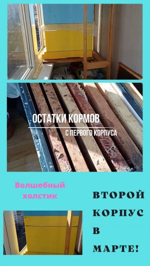 Второй корпус через положок.