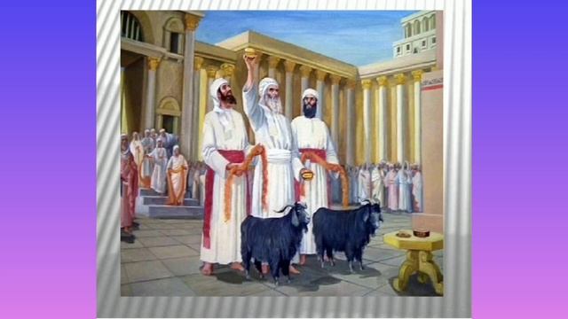 ВИДЕОСЛОВАРЬ. Пословицы и поговорки. Выпуск 4. смотреть онлайн