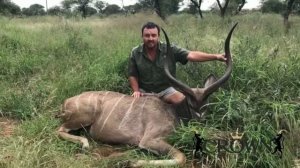 Magnum - Outstanding Kudu bull from CROWN Game Breeders.