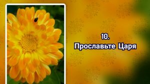 Гимны надежды 10 Прославьте Царя (-)