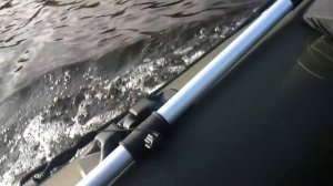 Hidea 5 Nordik 290 lt