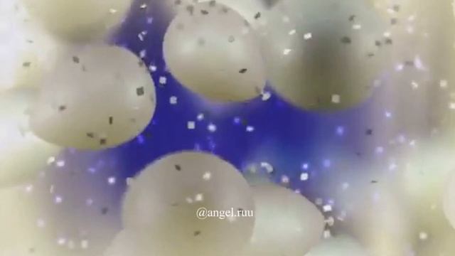 Видео поздравления С Днём Рождения  для Александра Кокорина 2019