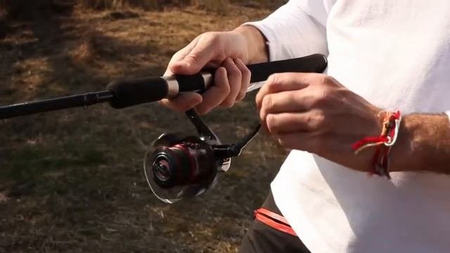 Rapala BX Swimmer