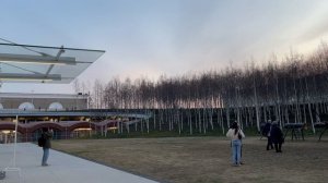 Бесплатное посещение ГЭС-2. Выставка Настройки