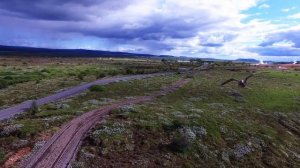 Атака птиц на квадрокоптер.Птицы атаковали квадрокоптер. Birds attack drone. 2017