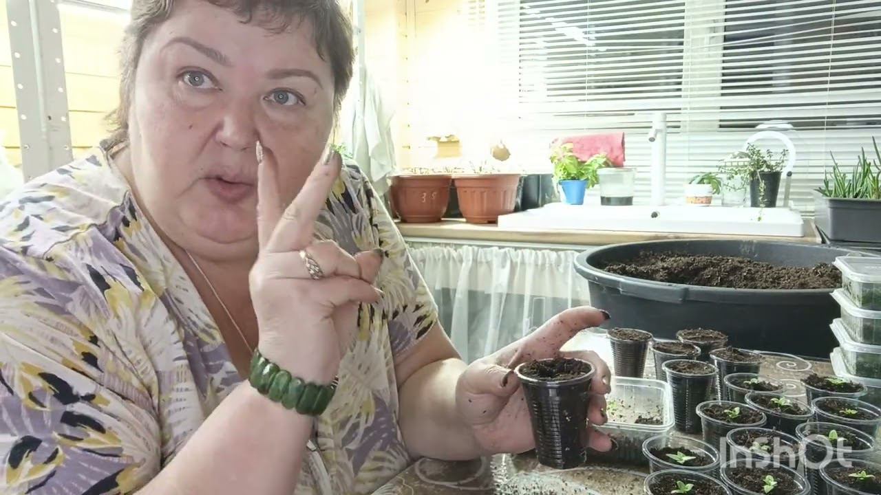 Пикировка эустомы через месяц! #пикировкустомы #рассадаэустомы
