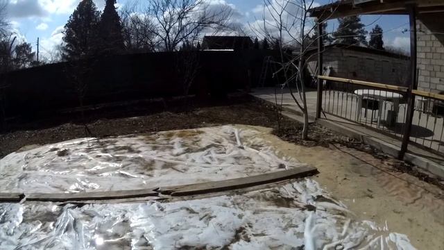 Дачные котики | Дачные зарисовки, конец марта