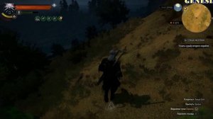 The Witcher 3 Wild Hunt Cкрытый квест За семью морями
