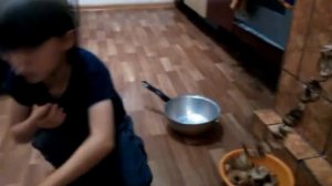как сушить опята?