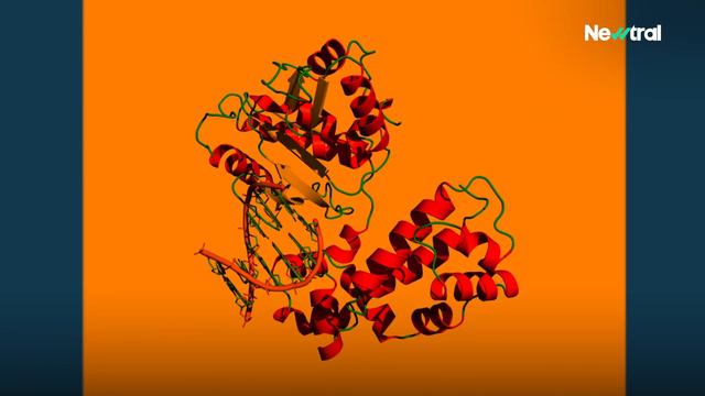 De cazar criminales a coronavirus: el legado de Margarita Salas en forma de test rápido смотреть онлайн