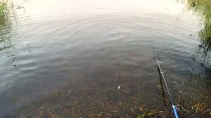 Окунь на поплавок. Окунь на червя. Рыбалка на окуня. 2021