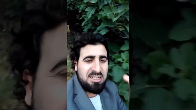 Hz Mehdi✅ İSA as. Siz ONU meyvesinden TANIYACAKSINIZ! Sahilde incir ağacının yanında! смотреть онлайн