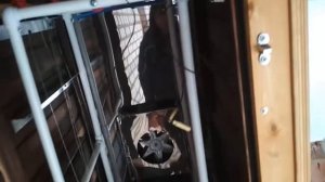 Моё первое копчение рыбы электростатикой