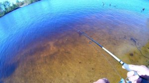 DUO REALIS JERKBAIT 100F,КОПИЯ С АЛИЭКСПРЕСС ОТ ALLBLUE.ИГРА НА ВОДОЕМЕ!