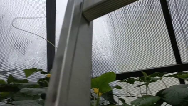 Репортаж 35 из Пирамиды Александра Фатеевича смотреть онлайн