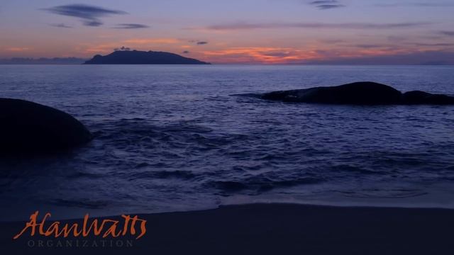 Alan Watts - What Is Reality? смотреть онлайн