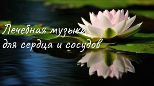 Лечебная Музыка Для Сердца  и Сосудов | Расслабляющая Музыка.?