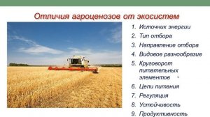 АГРОЭКОСИСТЕМЫ. В чем их отличие от природных экосистем?