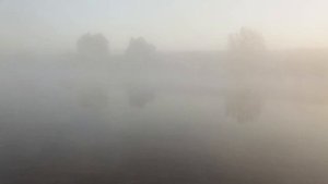 Осенний туман