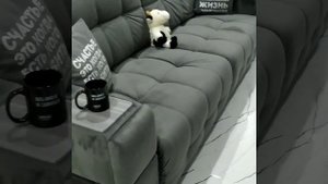 Диван Boss XO