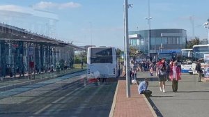 Пражский автобусный день 2021 || Pražský autobusový den 2021