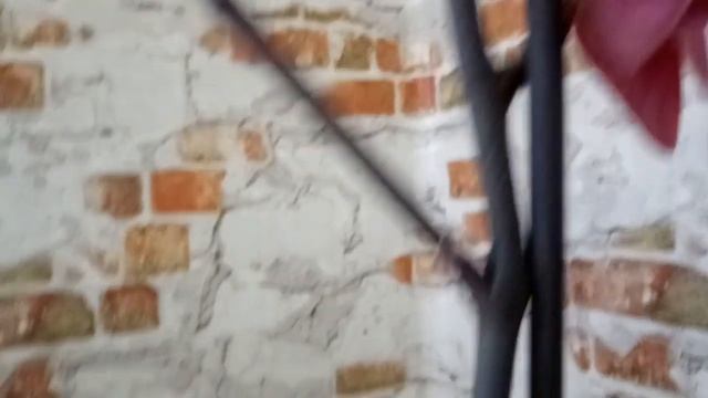 Орхидея -подарок к Дню Рождения ! смотреть онлайн