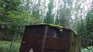 Охота на кабана и медведя с лабаза.