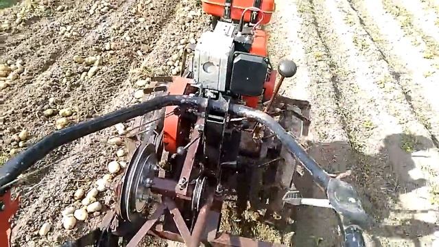 Картофелекопалка для мотоблока.