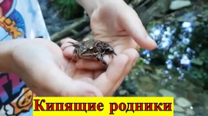 Кипящие родники. Голубые озера Казани. Лягушка нашла принца. 8-ч.