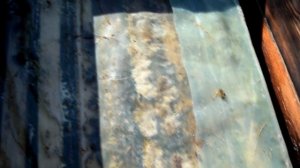 так давать ли медовое тесто канди пчелам зимой до первого весеннего облета?