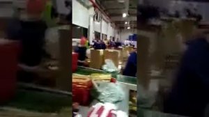 ФМ Логистик. Ступино