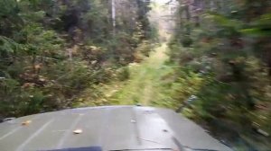 Болотоход из уаза. Первый выезд в тайгу.