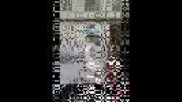 собака VS. кот смотреть онлайн