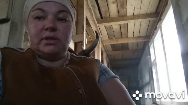 Отел коровы.Теленок от двойного осеменения.Недоношенный телёнок?